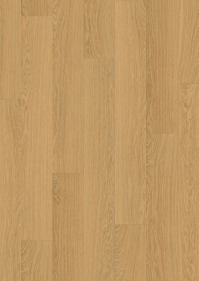 Dub rydz medov AVMPU 40098
