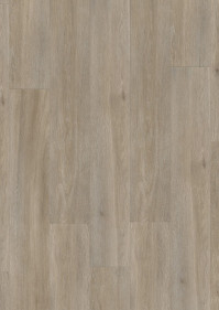 Dub hodvbny edohned BACL 40053