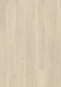 Dub morsk vnok bov PUCP 40080