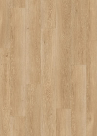 Dub morsk vnok prrodn PUCP 40081